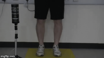 vertical-jump-reaction